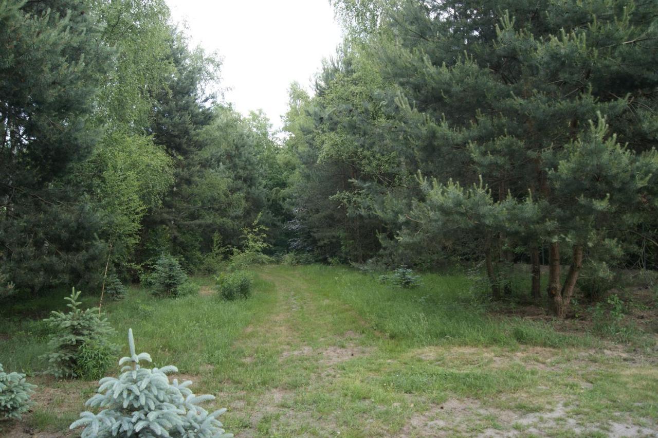 Domek letniskowy Family Bronowice (Zary)